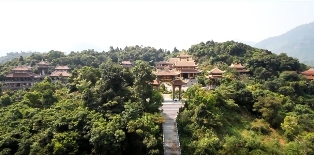 Thiền Và Cuộc Sống (Zen and Life)